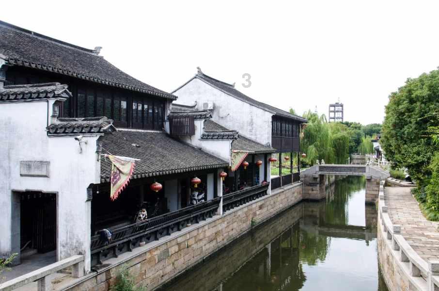 破碎的动物图形2